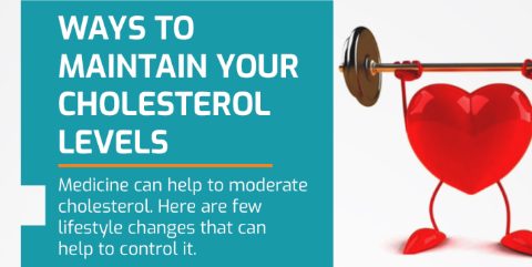 Maintain Your Cholesterol Levels