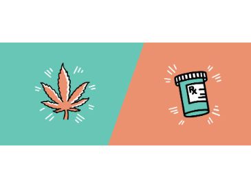iCare Podcast #5: Discussing the Myths of Medical Cannabis
