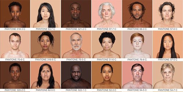 Rows of adults with different skin color shades