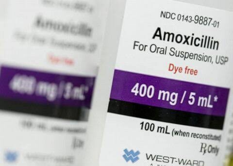 Amoxicillin label